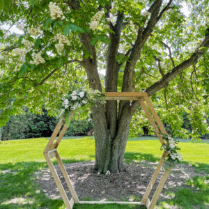 Wedding Arch - rental